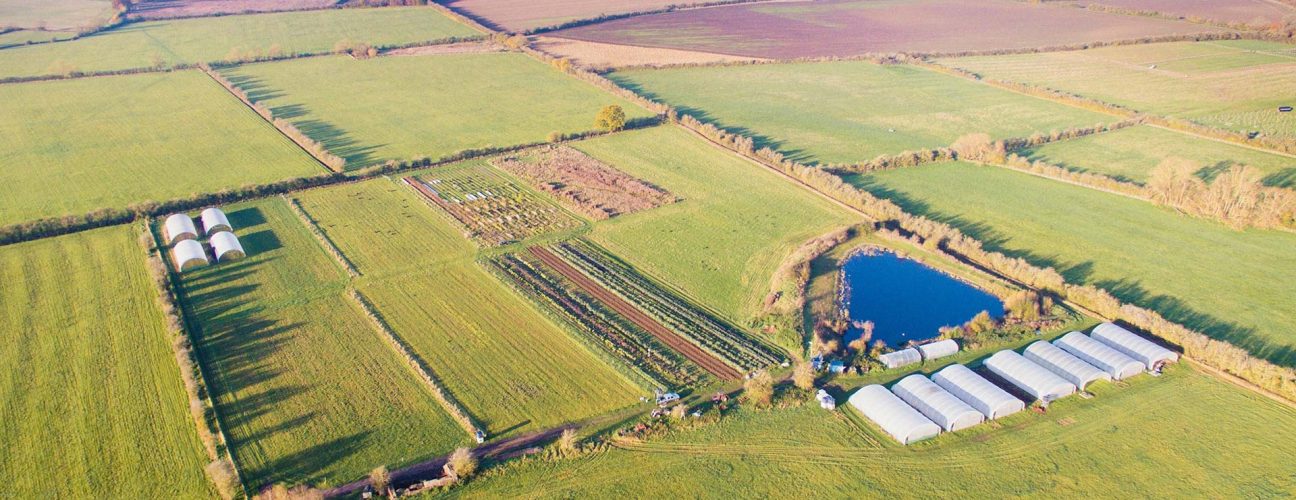 Bucksum-Header-Image-(credit-David-Newman) Bucksum-Header-Image-(credit-David-Newman)