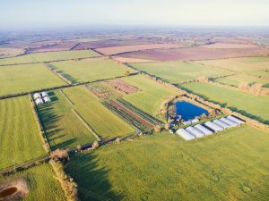 Bucksum-Header-Image-(credit-David-Newman) Bucksum-Header-Image-(credit-David-Newman)