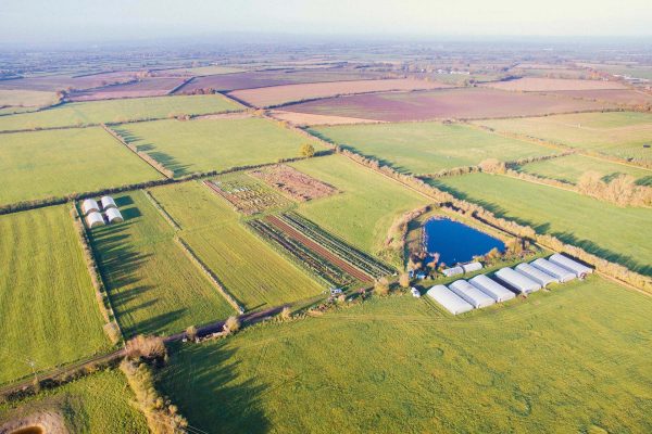 Bucksum-Header-Image-(credit-David-Newman) Bucksum-Header-Image-(credit-David-Newman)