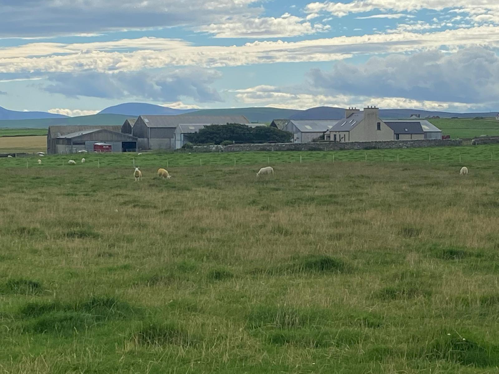Stewart and Gareth Wood, Garson Farm, Orkney- ABP PRISM 2030 Network