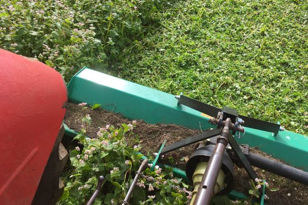 Mowing buckwheat. Photo credit Andy Dibben Mowing buckwheat. Photo credit Andy Dibben