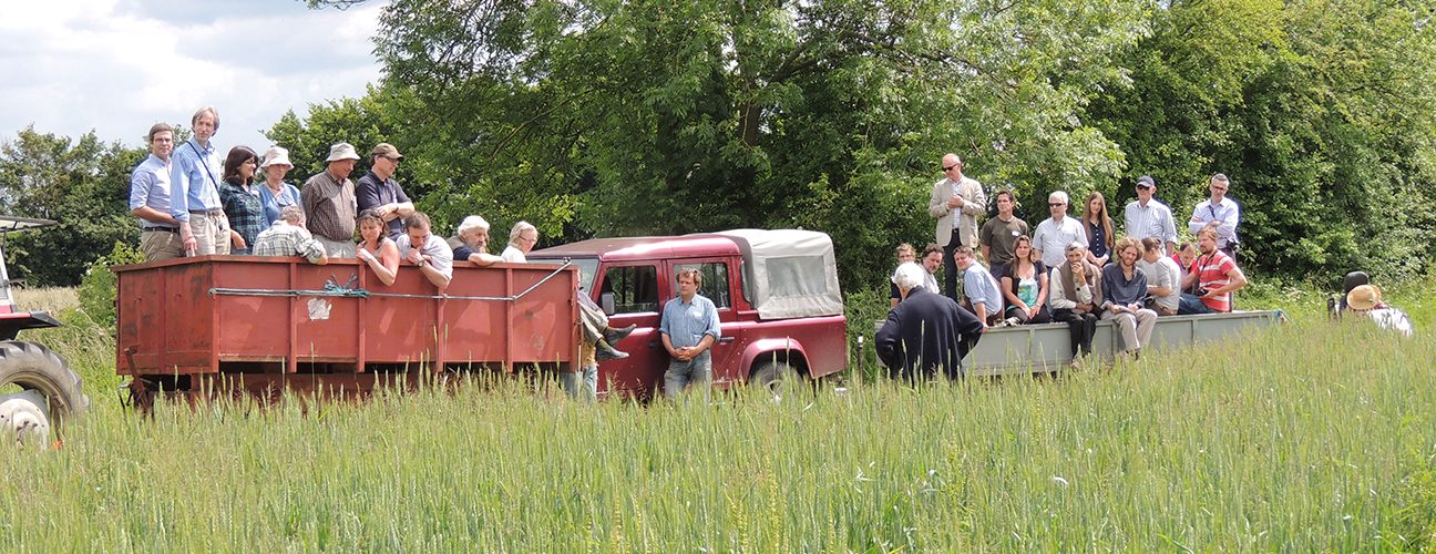 Wakelyns_openday_ORC