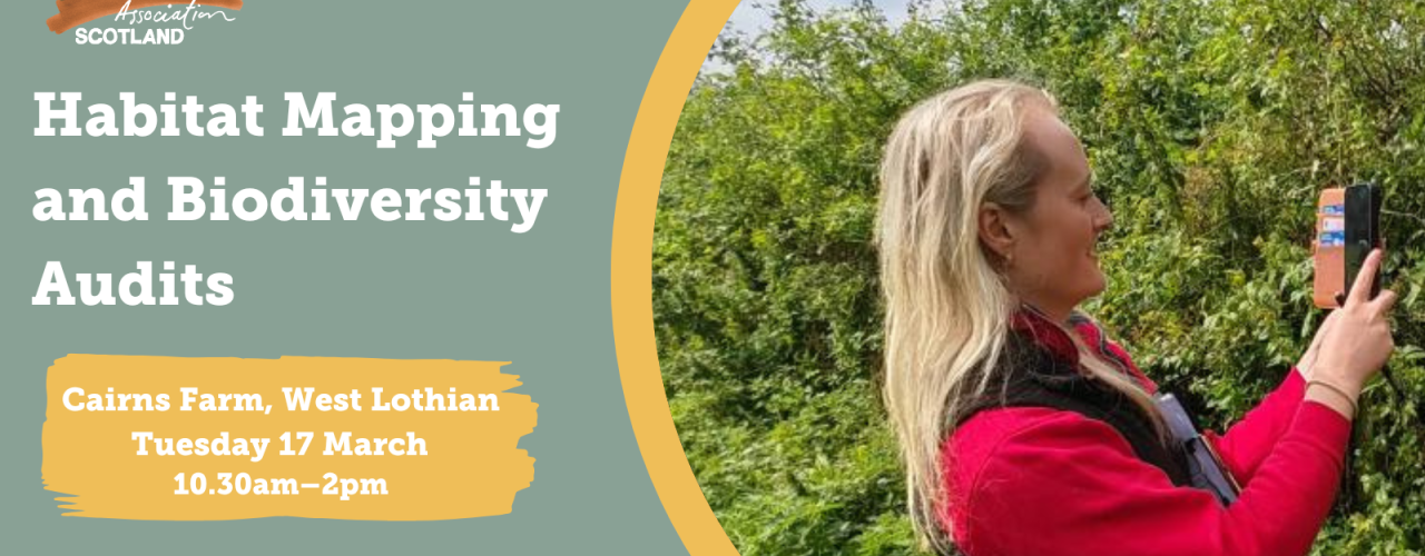 Habitat mapping and biodiversity audits