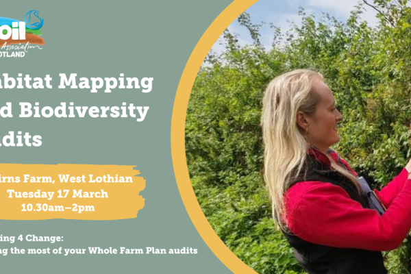 Habitat mapping and biodiversity audits Habitat mapping and biodiversity audits