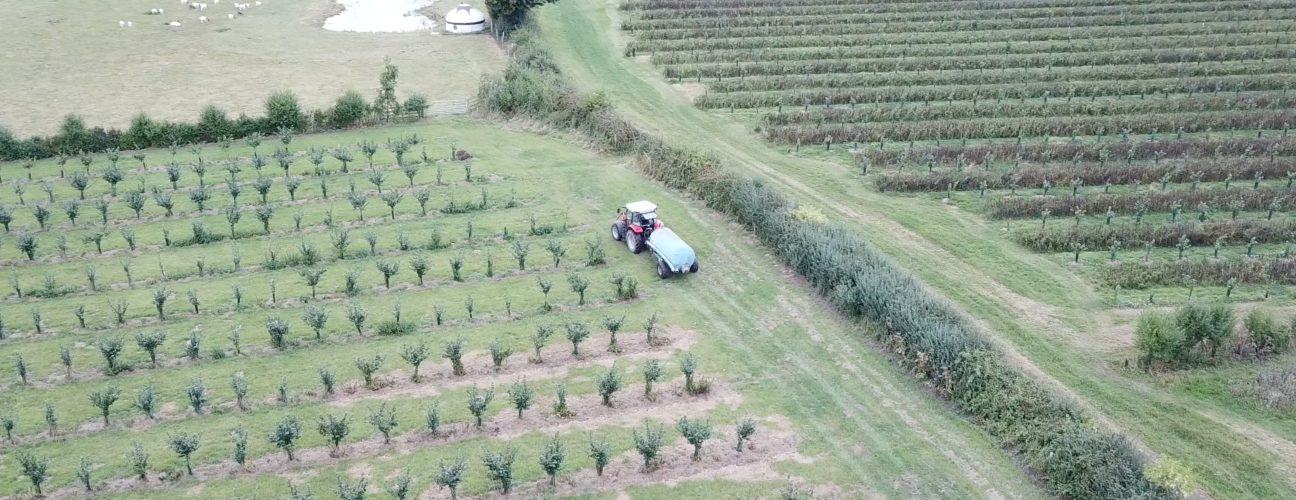 Glastonbury Nut Farm. Photo: Elsa Kent Glastonbury Nut Farm. Photo: Elsa Kent