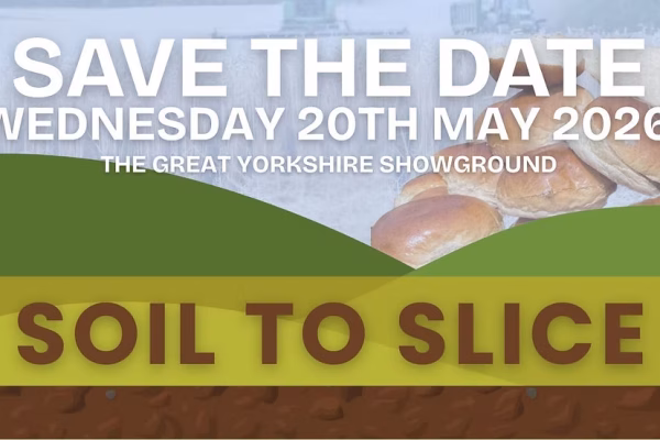 soil to slice soil to slice