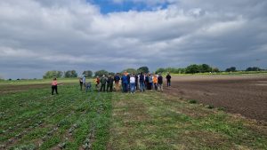 Polybell Farm Walk Polybell Farm Walk