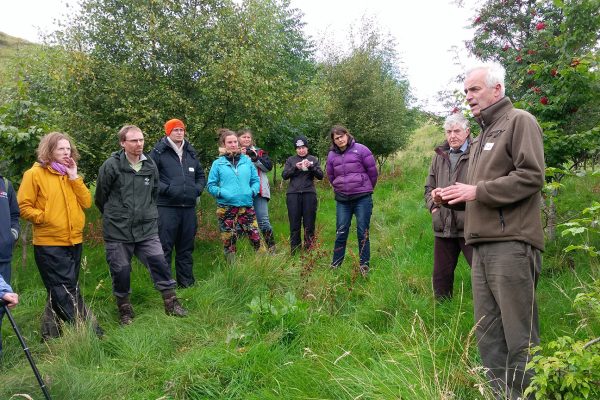 Andrew Barbour - trees and livestock workshop. Photo: ORC Andrew Barbour - trees and livestock workshop. Photo: ORC
