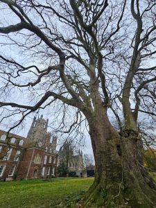 Great-London-Plane-of-Ely. Credit: ATF Great-London-Plane-of-Ely. Credit: ATF