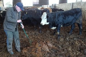 Guy Douglas bokashi-Photo ORC Guy Douglas bokashi-Photo ORC