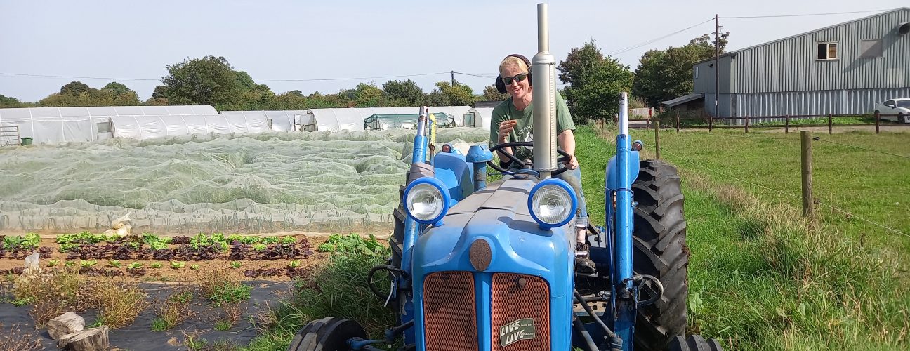 Kate Collyns  - Grown Green