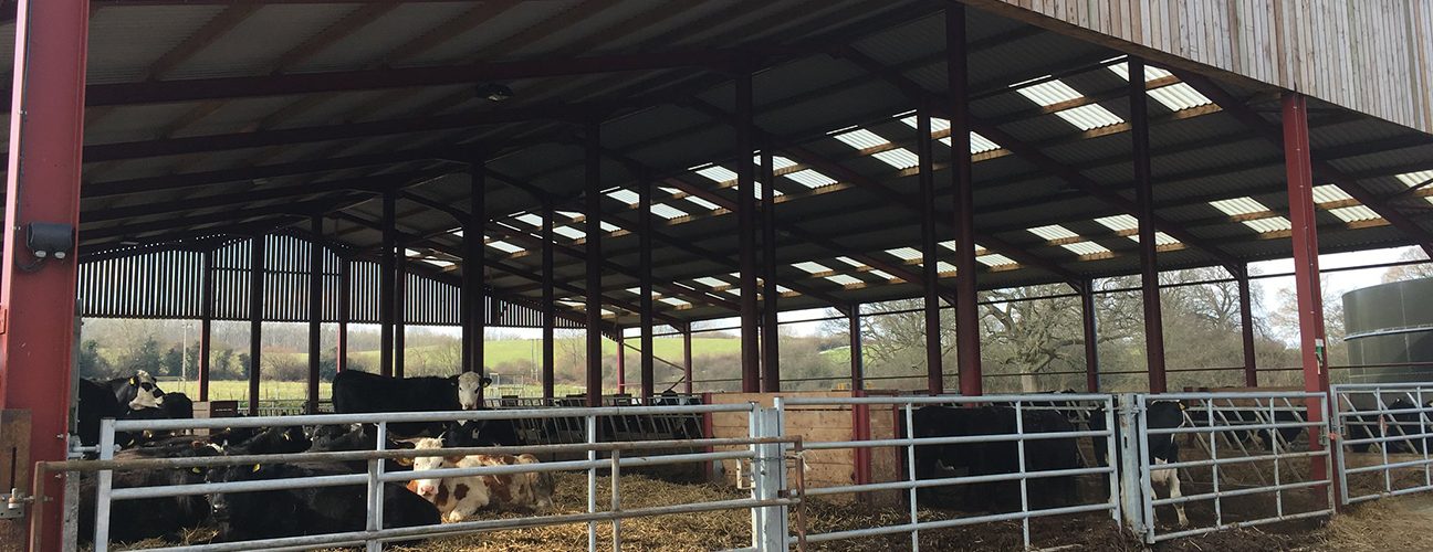 Livestock_building_Elm_Farm