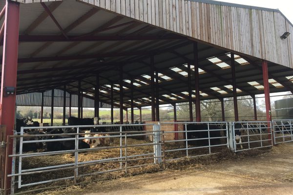 Livestock_building_Elm_Farm Livestock_building_Elm_Farm