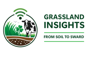 Soiltosward Soiltosward