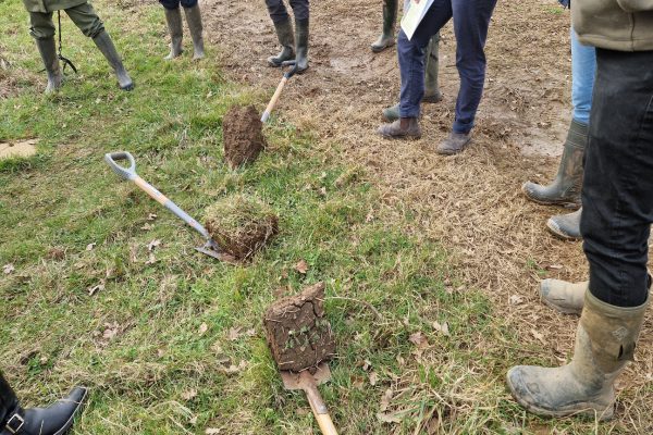 Soil health and its management