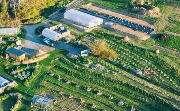 Henbant Permaculture Henbant Permaculture